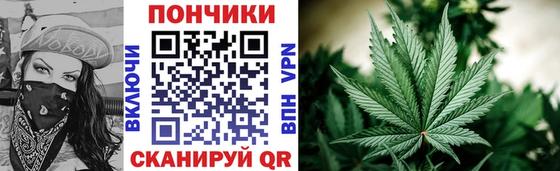 Бошки марихуана SATIVA & INDICA  закладка  Лагань 